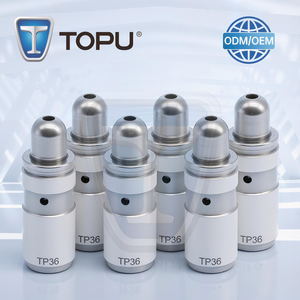 Poussoir de soupape de moteur de voiture modifié sur mesure de haute qualité pour <span class=keywords><strong>ALFA</strong></span> <span class=keywords><strong>ROMEO</strong></span> 159 640016 Remplacement après-vente - Product Image 1