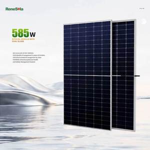 Paneles Solares Bifaciales Rene en Stock, Grado B, 585W, Doble Vidrio, Tipo N - Product Image 1