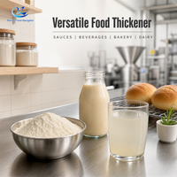 Voedingskwaliteit Xanthan Gum 200 Mesh E415 Verdikkingsmiddel Stabilisator CAS 11138-66-2 voor Sauzen Dranken Bakkerij 25kg Bulk Levering