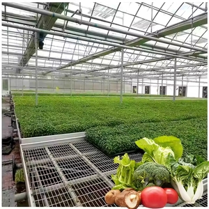 Grande serre pour <span class=keywords><strong>semis</strong></span>, table mobile à roulettes en acier galvanisé, équipement agricole pour <span class=keywords><strong>semis</strong></span> - Product Image 4