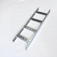 Système de support de chemin de câbles horizontal promotionnel de type échelle