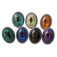 Bague ajustable en acier inoxydable avec insecte véritable, phosphorescente dans le noir, spécimen d'insecte ambre, scorpion jaune et noir, pour femme