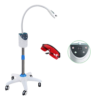 Lampe de blanchiment des dents dentaire à LED Machine de blanchiment à zoom laser Machine de blanchiment dentaire professionnelle