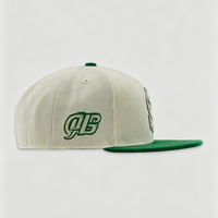 Gorra Snapback con Logotipo Personalizado, 6 Paneles, Visera Plana, Gorra de Béisbol Bordada, Gorras Hip Hop Personalizadas, Gorras Personalizadas para Streetwear