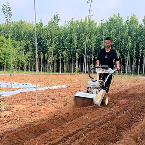 Demand for Best-selling Machinery Small Hand Push <b>Rotary</b> Tiller Diesel/gasoline Farm Tilling <b>Machine</b> Mini Cultivator - Product Image 3
