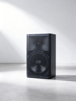Altavoz Activo Profesional de 250W y 12 Pulgadas para Escenario, Pantalla IPS de Alta Fidelidad, Sistema de PA Digital con Interconexión Inalámbrica de 2.4G
