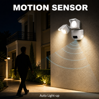Lumière murale de sécurité LED étanche à détecteur de mouvement ROHS à haute luminosité 30W avec garantie de 3 ans PW1803 pour jardin