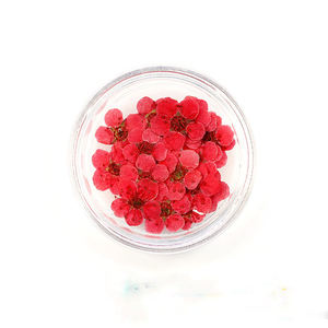 Cadeau de <span class=keywords><strong>saint</strong></span>-<span class=keywords><strong>valentin</strong></span> <span class=keywords><strong>2023</strong></span>, haute qualité, diverses combinaisons de paquets, fleurs séchées et pressées naturelles pour le matériel manuel - Product Image 3