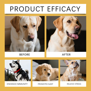 Gotas de Apoyo Inmunológico para Perros 60ml, Extracto Herbal de Saúco, Mejora la Inmunidad, Bienestar Hepático, Salud Digestiva, Suministro Directo de Fábrica - Product Image 4