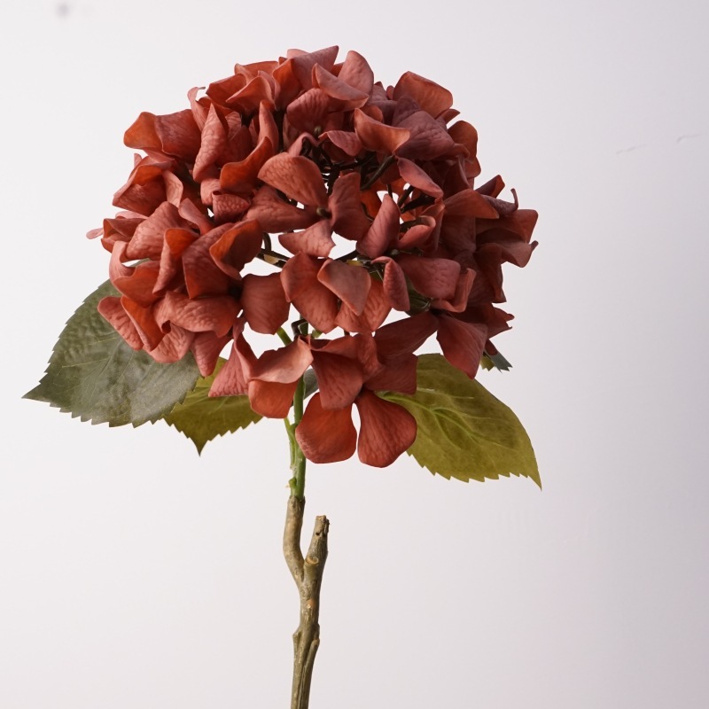 Toucher hortensia hollandais-rouge brique