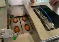 Ligne de production de liquide d'œuf, l'œuf entier est pasteurisé