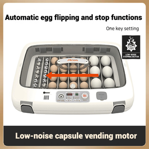 Artificial Intelligence Automatic <strong>Egg</strong>-turning Function <strong>With</strong> Fnd Display Hatching <strong>Machine</strong> Rcom Max 50 Fnd Display Chick Incubator - Product Image 4
