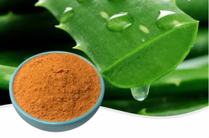 Ingrediente cosmético natural para el cuidado de la piel Extracto de gel de <span class=keywords><strong>Aloe</strong></span> <span class=keywords><strong>Vera</strong></span> Puro Emodin Aloin Aloevera Gel Polvo Liofilizado - Product Image 2