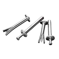 Rivets à tête plate Break Manderl, clous d'expansion, vis d'expansion, vis d'expansion à percussion, vis d'expansion à marteau