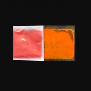 Pigmento Fosforescente MCESS che si Illumina al Buio per Insegne Luminose e Segnali di Uscita - Product Image 5