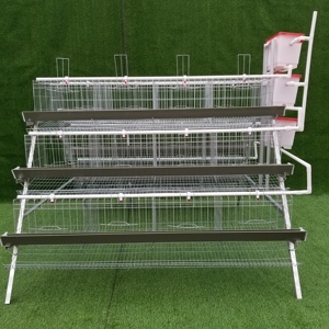 Cage pour poules pondeuses de type A d'Afrique Cage pour poules pondeuses Poulets Poulets d'élevage Coop pour 96/120/128/160 Oiseaux Capacité - Product Image 1