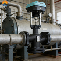 Vanne de régulation électrique en fonte ductile 2,5''-12'' pour le contrôle du niveau de liquide, protection IP54, YC-TECH, OEM disponible