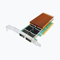 Tarjeta de Red Ethernet NIC de Doble Puerto QSFP28 de 100G con Chip Intel E810-CAM2, Productos de Red