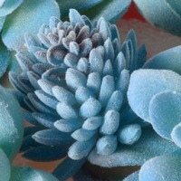 Vente en gros de plantes artificielles en pot de succulentes miniatures bleues de petite taille en plastique pour table de bureau