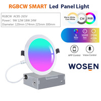 OEM ODM LED Aluminium Contemporain Blanc Salon Sans Fil WiFi Tuya App Commande Vocale RGB Alexa Google Intelligent Dimmable Garantie 5 Ans