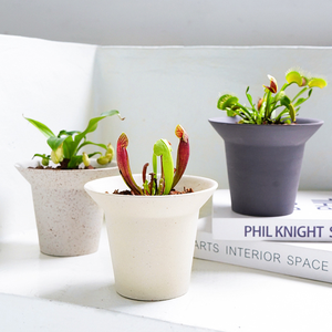 Pot de fleurs en céramique simple coréen, style nordique INS, écologique, respirant, avec trou de drainage, pour plantes d'intérieur et de jardin, Agave - Product Image 1