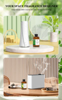 Huile de diffuseur d'aromathérapie inspirée de Daisy de Marc Jacobs pour les espaces de maison et de bureau, matière première, parfum, huile de parfum
