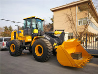 XCMG offizieller gebrauchter Radlader ZL50GN 5 Tonnen kleiner Traktor-Frontlader zu verkaufen