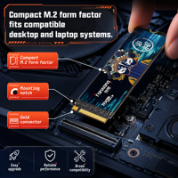 FANXIANG S790E M.2 2280 SSD 1TB NVMe PCIe 4.0 Disque SSD Interne 600TBW OEM Fournisseur en Gros pour Système d'Assemblage
