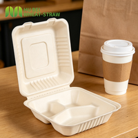 Boîte à emporter en bagasse à 3 compartiments, 8x8 pouces, compostable, carrée, type clamshell, robuste, OEM