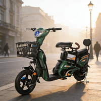 MTBGO Vente en gros – Scooter électrique 350W haute puissance 48V 20Ah – Promotion exceptionnelle pour les motos de rue