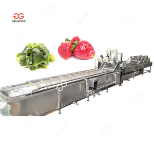 1ton mỗi giờ cà chua rửa thiết bị cà chua đánh răng máy giặt cà chua tươi rửa và máy đóng gói - Product Image 3