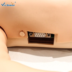 Modelo <span class=keywords><strong>de</strong></span> Reanimación Cardiopulmonar Neonatal en Oferta, Maniquí <span class=keywords><strong>de</strong></span> Entrenamiento <span class=keywords><strong>de</strong></span> RCP para Recién Nacidos - Product Image 6