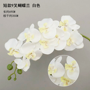 Hot bán thực tế mô phỏng phong lan gốc hoa nhân tạo trang trí đám cưới lụa phong lan cho trở lại trường học - Product Image 2