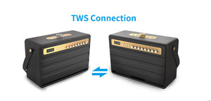 2022 W-KING High End Sound Speaker K6L With Two <b>Wireless</b> <b>Microphone</b> Super X-bass - Product Image 2