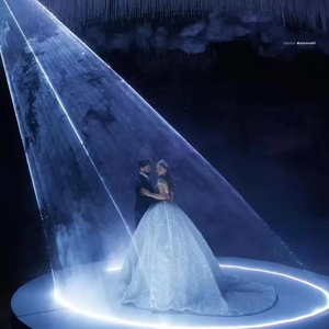 Laser de Scène Exclusif pour Mariage Rêveur : Illuminez l'Amour Romantique (3W/5W/8W/10W/20W) – Idéal pour Mariages, Bars, Performances, Discothèques et DJ - Product Image 2