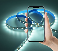 Bande lumineuse LED en cuivre 5050, 60 LED/m, indice de protection IP20, avec télécommande par application pour l'éclairage domestique