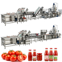 Ligne de production de jus de tomate. Usine complète de transformation de tomates, machine de remplissage de purée et de jus de tomates