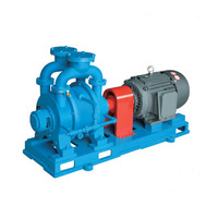 Pompe à vide à anneau liquide à simple étage de la série SZ 3KW en vente pour extrudeuse de plastique