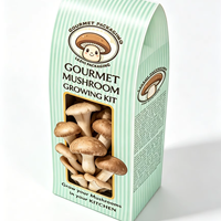 Boîtes à champignons personnalisées imprimées, fabriquées en carton de qualité supérieure, avec logo