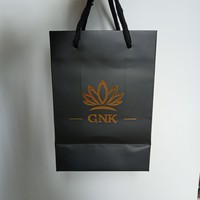 Sac cadeau en papier recyclable de luxe avec logo personnalisé imprimé en sérigraphie avec poignée en ruban pour l'emballage de vêtements