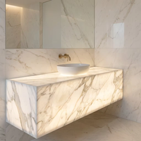 Plaque lumineuse LED flexible carrée personnalisable, bicolore CCT 2700K-6500K, avec contrôle Wi-Fi et application, compatible pour atelier intérieur