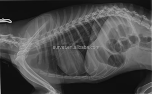 Equipo veterinario EUR VET inalámbrico con cable 17x17 14x17 pulgadas Xray <span class=keywords><strong>DR</strong></span> X Ray Plate Detector de panel plano digital de rayos X para veterinario humano - Product Image 6