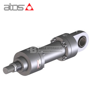 Cylindres hydrauliques à tête ronde en acier inoxydable série ATOS CNX CNXF-50 CNXF-63 CNXF-80 CNXF-100 CNXM CNXN CNXP CNXV - Product Image 3