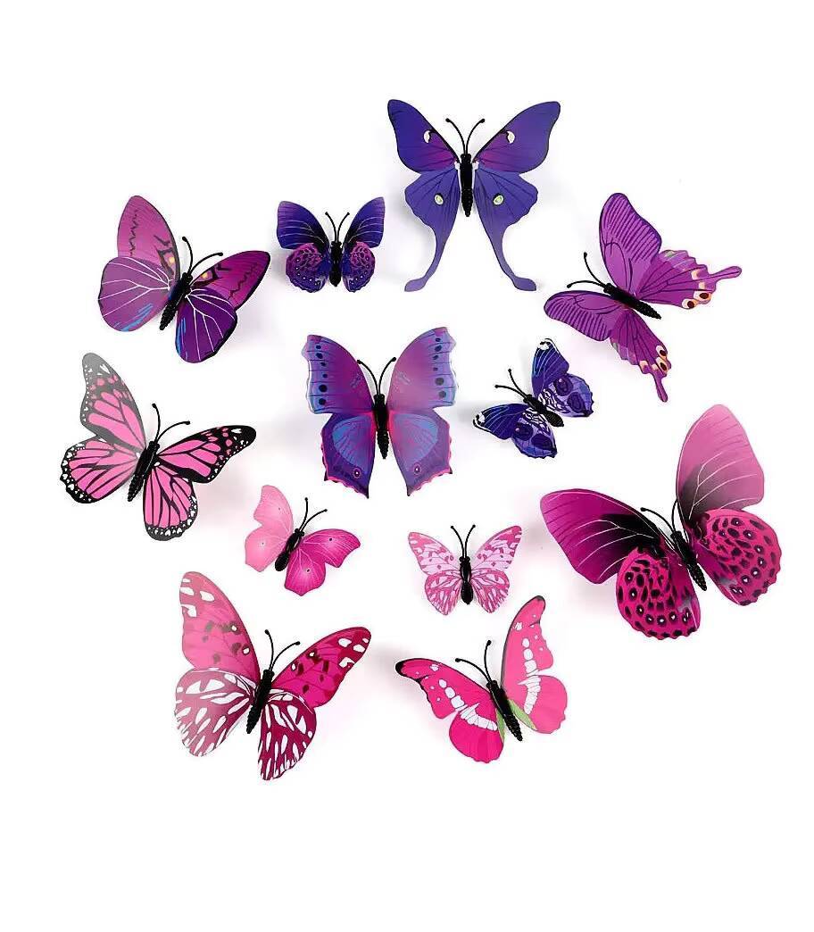 Violet 6