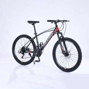 Vélo de montagne personnalisé de 26 <span class=keywords><strong>pouces</strong></span> avec frein à disque double, vitesse variable, vélo de cross-country pour hommes et femmes - Product Image 2