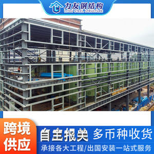 Estructuras de Acero para Construcción: Procesamiento de Estructuras de Acero al Carbono, Ingeniería de Estructuras de Acero, Estructuras de Acero para Recintos - Product Image 3