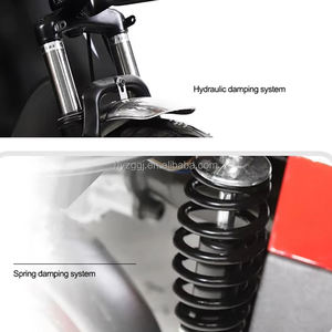 Venta directa de fábrica elegante personalizable 3 ruedas triciclo eléctrico 48V vehículo eléctrico de acero de cuerpo abierto para familias pasajeros - Product Image 5