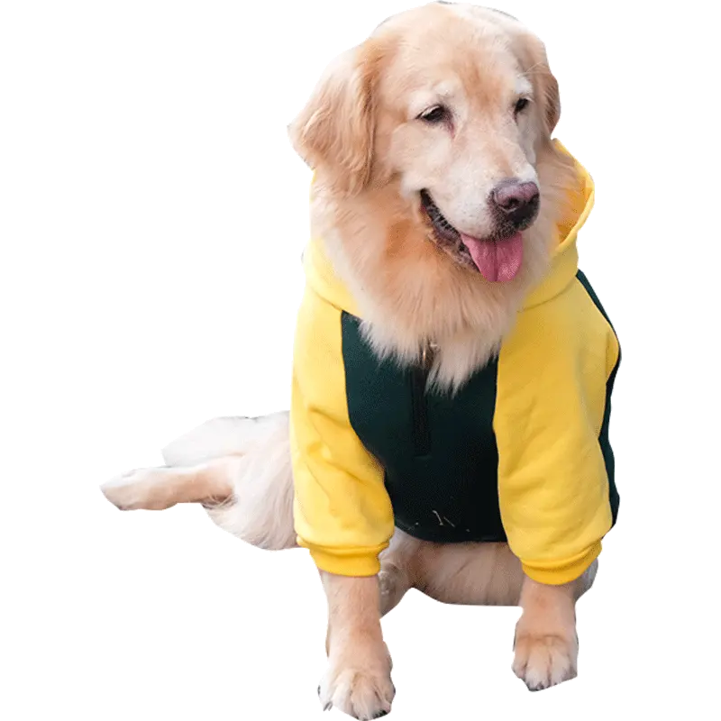 Vestiti per cani di grossa taglia Golden recuperare Labrador Anti-perdita medio Large Dog Pet abbigliamento primaverile e autunnale