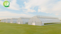 Climat tropical Top Ventilation Sawtooth Agricultural Plastic Film Tunnel Greenhouse pour légumes