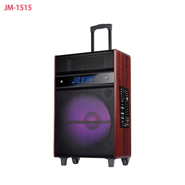 Made China 15-Inch Wireless Mic Trolley Speaker USB/SD/FM/BT Support for Computer Mobile Phone Outdoor 50-100W Battery Powered